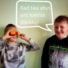 Edukacija emociniam ir socialiniam pažinimui su moliu