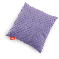 Minšta pagalvėlė, violetinės sp.