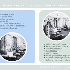 Sensorinių veiklų ir priemonių taikymo kortelės