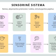 Sensorinių veiklų ir nusiraminimo dėžutė