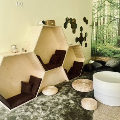 Unikalus sensorinys kambarys “po klevu”