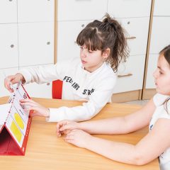 STEAM. Matematikos trupmenos atverčiamojoje lentelėje